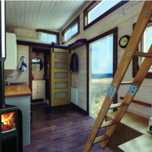 Saltfire Peanut 3 Tall Stove